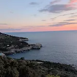 Capri Coral *