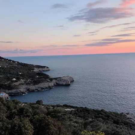Capri Coral *