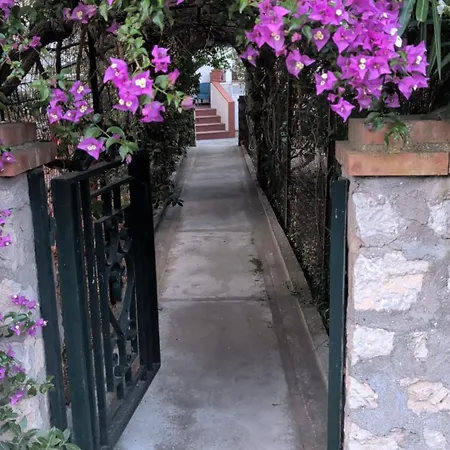 Capri Coral *